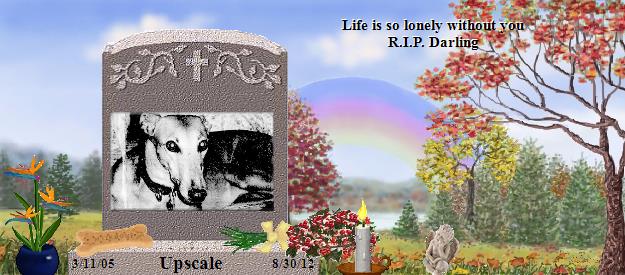 Upscale's Rainbow Bridge Pet Loss Memorial Residency Image