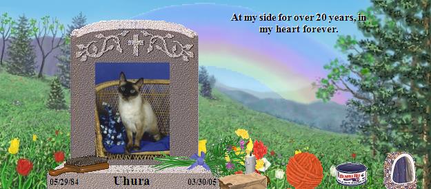 Uhura's Rainbow Bridge Pet Loss Memorial Residency Image