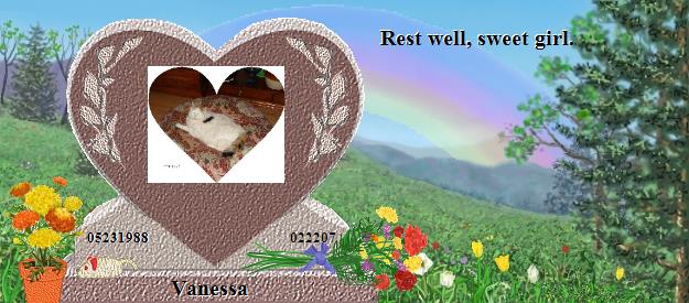 Vanessa's Rainbow Bridge Pet Loss Memorial Residency Image