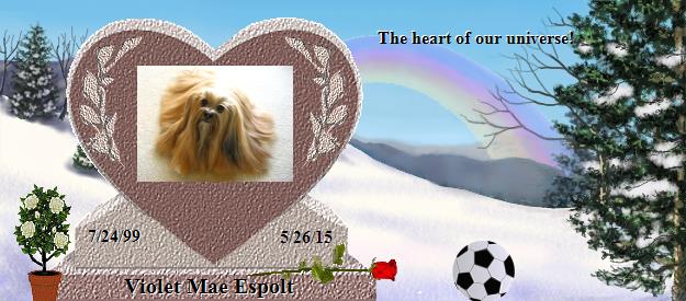 Violet Mae Espolt's Rainbow Bridge Pet Loss Memorial Residency Image