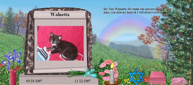 Walnetta's Rainbow Bridge Pet Loss Memorial Residency Image