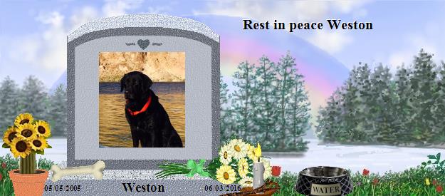 Weston's Rainbow Bridge Pet Loss Memorial Residency Image