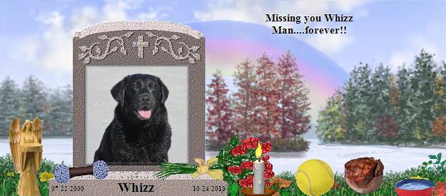 Whizz's Rainbow Bridge Pet Loss Memorial Residency Image
