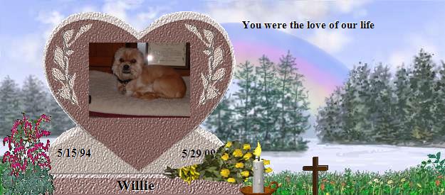 Willie's Rainbow Bridge Pet Loss Memorial Residency Image