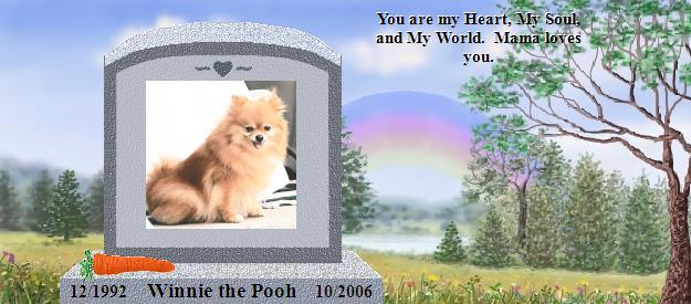 Winnie the Pooh's Rainbow Bridge Pet Loss Memorial Residency Image