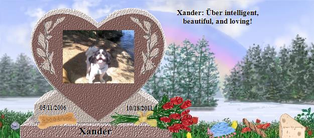 Xander's Rainbow Bridge Pet Loss Memorial Residency Image