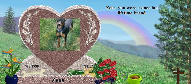 Zeus's Rainbow Bridge Pet Loss Memorial Residency Image