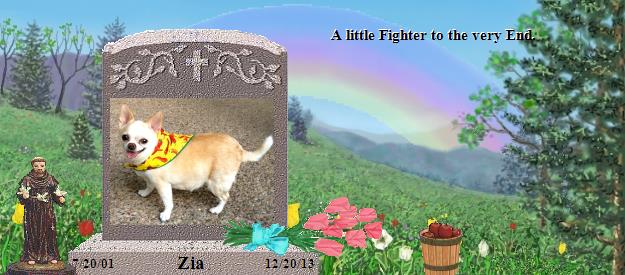 Zia's Rainbow Bridge Pet Loss Memorial Residency Image