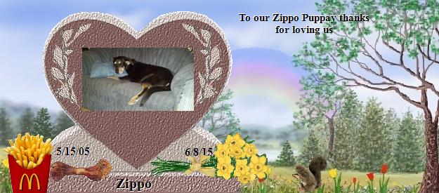 Zippo's Rainbow Bridge Pet Loss Memorial Residency Image