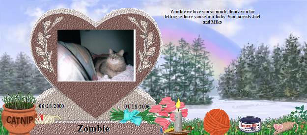 Zombie's Rainbow Bridge Pet Loss Memorial Residency Image