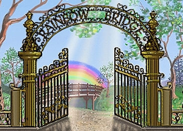 Download Pet Loss Grief Support Resources At Rainbow Bridge