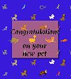 Congratulations of adopting a NEw Pet