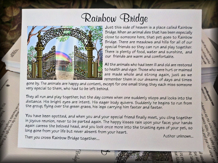 Rainbow Bridge Poem Pet Sympathy Cards