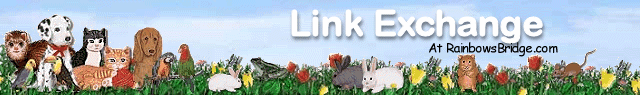 Linking to the Rainbow Bridge website