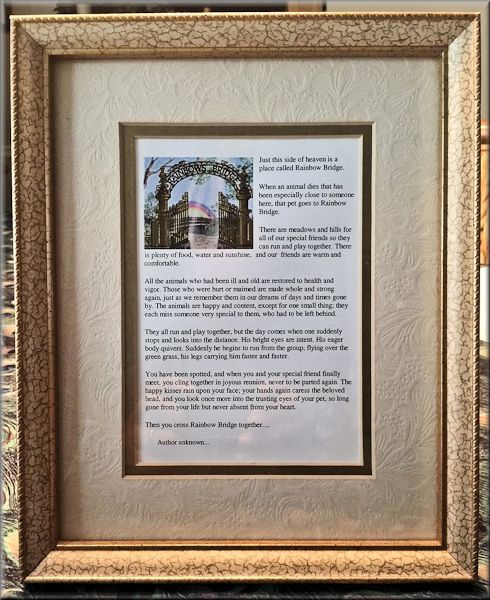 Rainbow Bridge Poem