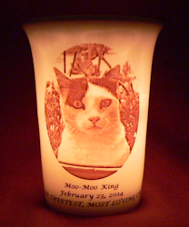 Mourninglights™ Custom Printed Glass Memorial Candleholders