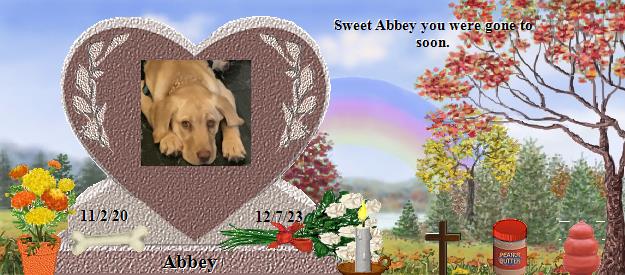 Abbey's Rainbow Bridge Pet Loss Memorial Residency Image