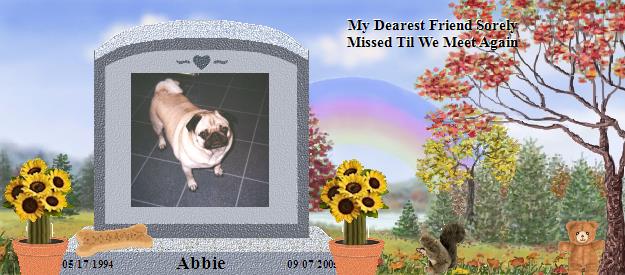 Abbie's Rainbow Bridge Pet Loss Memorial Residency Image