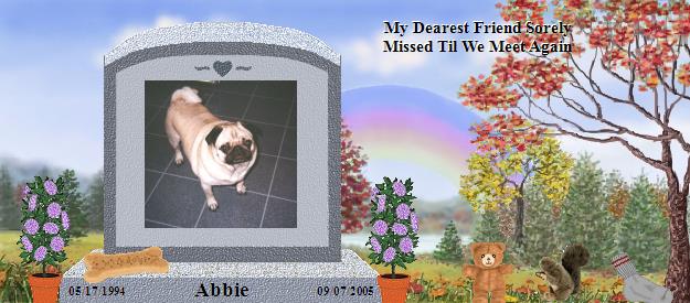 Abbie's Rainbow Bridge Pet Loss Memorial Residency Image