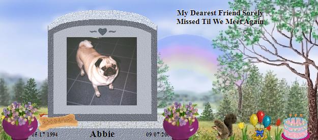 Abbie's Rainbow Bridge Pet Loss Memorial Residency Image