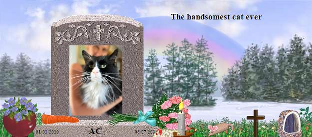 AC's Rainbow Bridge Pet Loss Memorial Residency Image