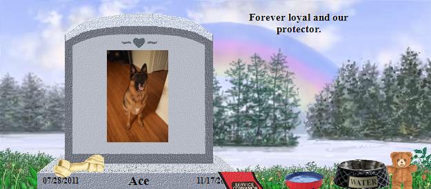Ace's Rainbow Bridge Pet Loss Memorial Residency Image