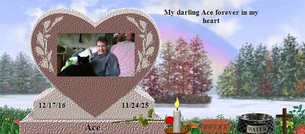 Ace's Rainbow Bridge Pet Loss Memorial Residency Image