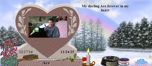 Ace's Rainbow Bridge Pet Loss Memorial Residency Image