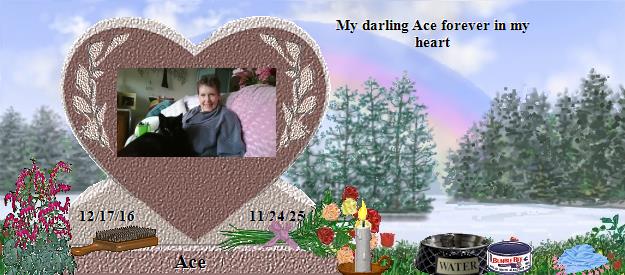 Ace's Rainbow Bridge Pet Loss Memorial Residency Image