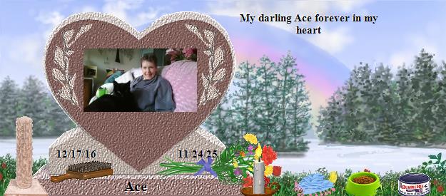 Ace's Rainbow Bridge Pet Loss Memorial Residency Image