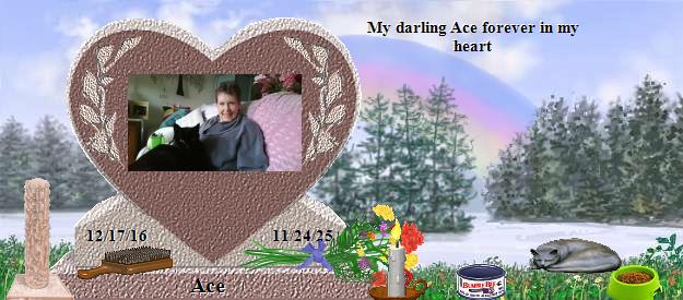Ace's Rainbow Bridge Pet Loss Memorial Residency Image