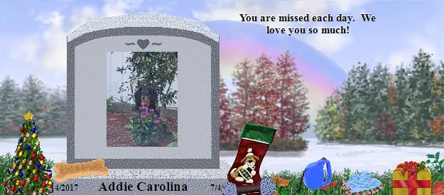 Addie Carolina's Rainbow Bridge Pet Loss Memorial Residency Image
