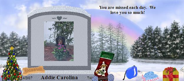 Addie Carolina's Rainbow Bridge Pet Loss Memorial Residency Image