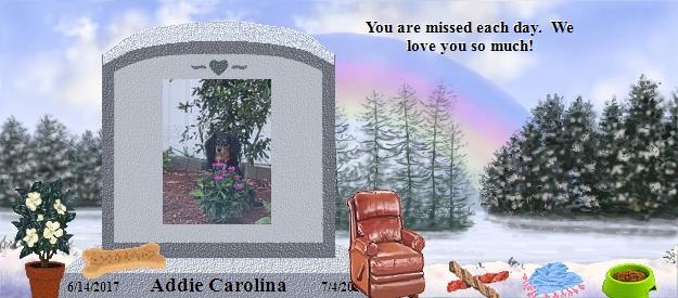 Addie Carolina's Rainbow Bridge Pet Loss Memorial Residency Image
