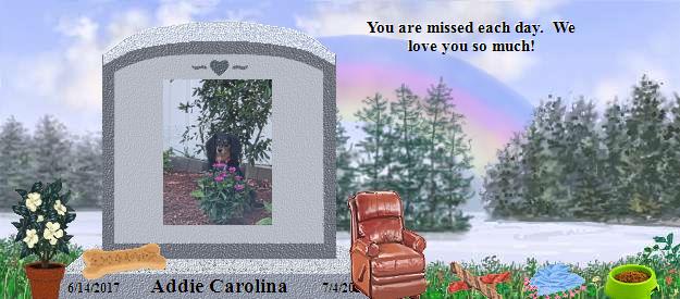 Addie Carolina's Rainbow Bridge Pet Loss Memorial Residency Image