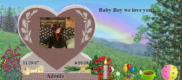 Adonis's Rainbow Bridge Pet Loss Memorial Residency Image