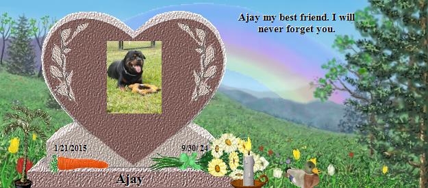 Ajay's Rainbow Bridge Pet Loss Memorial Residency Image