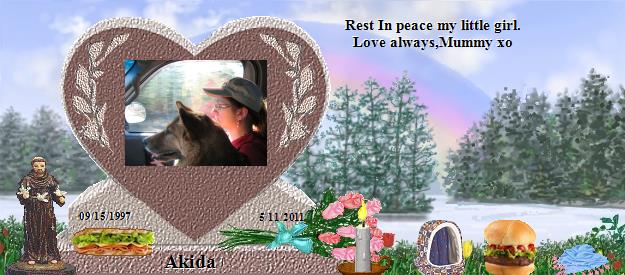 Akida's Rainbow Bridge Pet Loss Memorial Residency Image