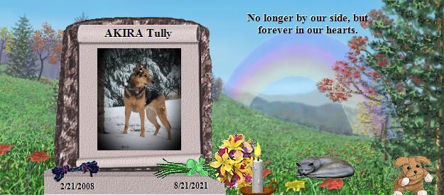 AKIRA Tully's Rainbow Bridge Pet Loss Memorial Residency Image