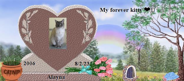 Alayna's Rainbow Bridge Pet Loss Memorial Residency Image