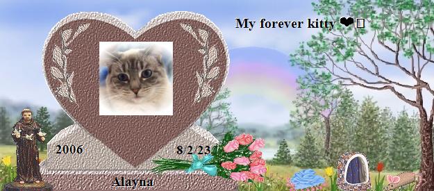 Alayna's Rainbow Bridge Pet Loss Memorial Residency Image