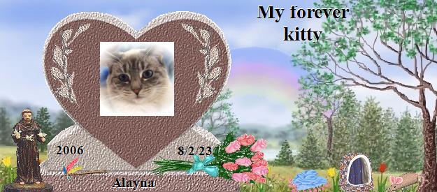Alayna's Rainbow Bridge Pet Loss Memorial Residency Image