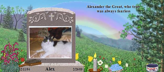 Alex's Rainbow Bridge Pet Loss Memorial Residency Image