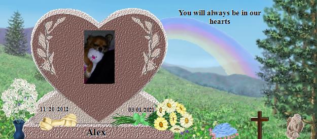 Alex's Rainbow Bridge Pet Loss Memorial Residency Image