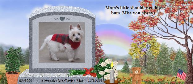 Alexander MacTavish Mor's Rainbow Bridge Pet Loss Memorial Residency Image