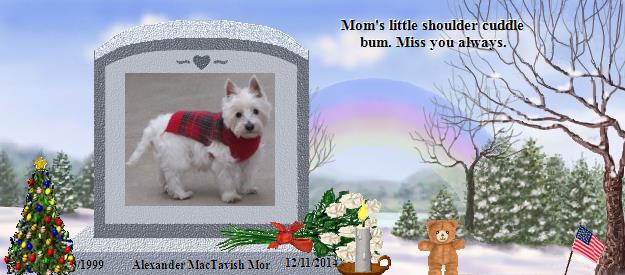 Alexander MacTavish Mor's Rainbow Bridge Pet Loss Memorial Residency Image