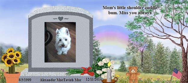 Alexander MacTavish Mor's Rainbow Bridge Pet Loss Memorial Residency Image