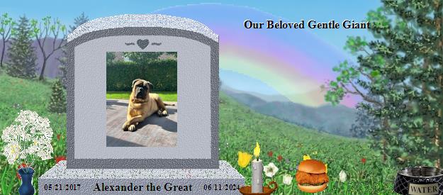 Alexander the Great's Rainbow Bridge Pet Loss Memorial Residency Image