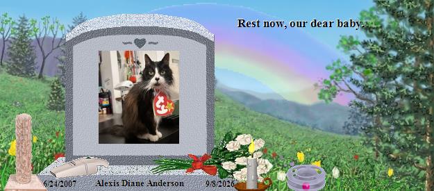 Alexis Diane Anderson's Rainbow Bridge Pet Loss Memorial Residency Image