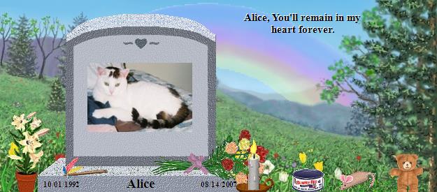 Alice's Rainbow Bridge Pet Loss Memorial Residency Image